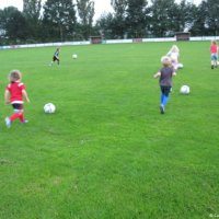 10_minipups_training